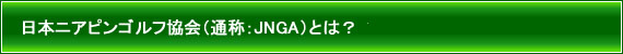JNGAとは？