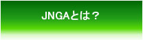 JNGAとは?
                        